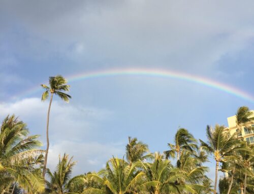 気持ちを切り替えたい時に思い出す、ハワイの虹の話。