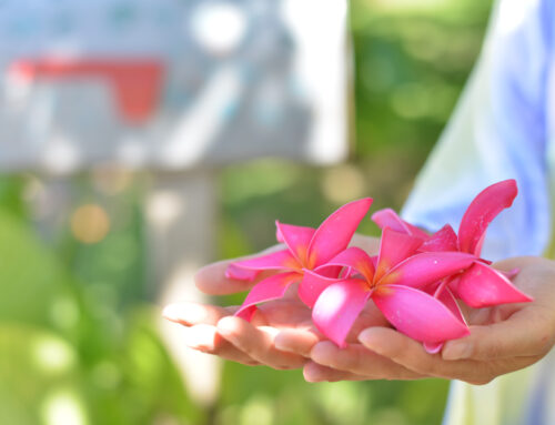 プルメリアの5枚の花びらに込められている、ハワイの心。