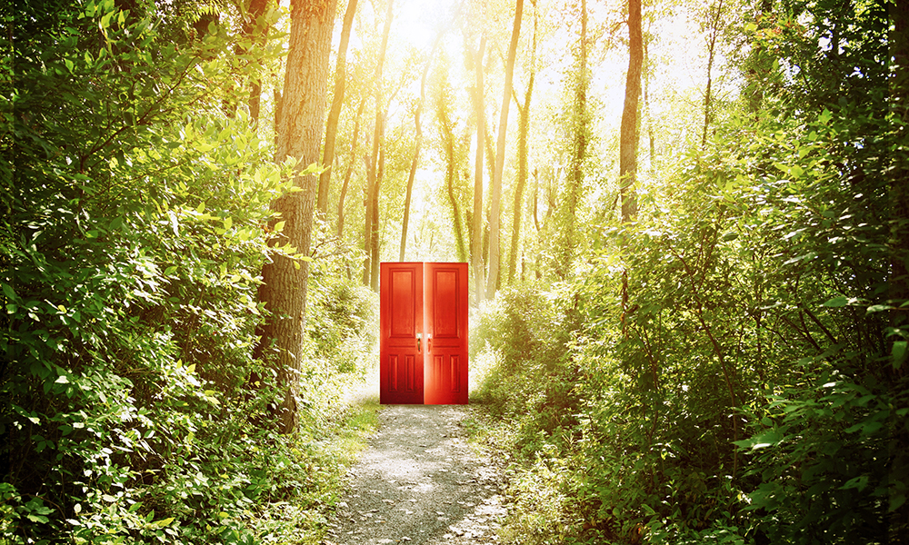 A red doorway is on a trail in the woods with trees for a concept about faith, freedom or opportunity.
