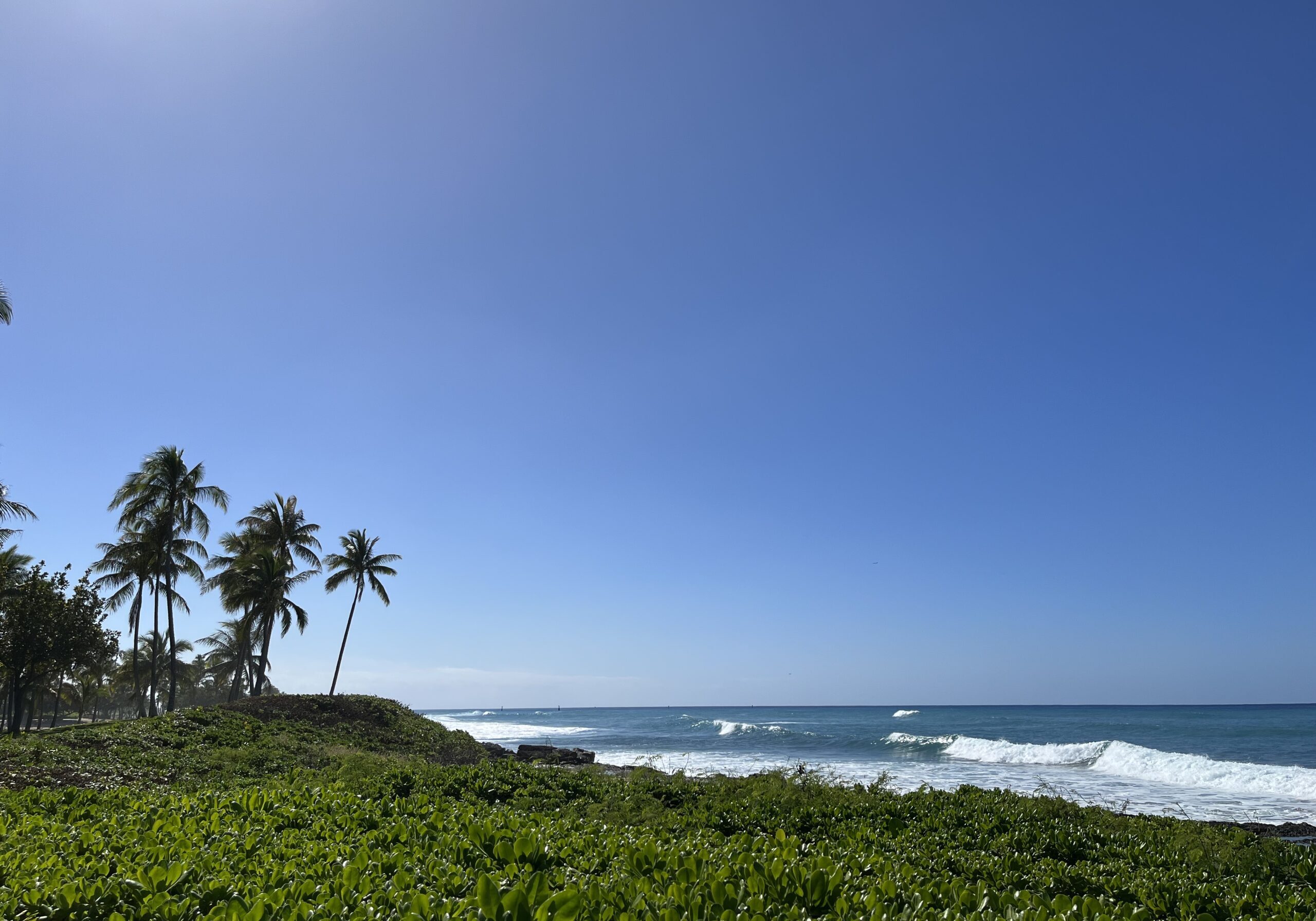 BFA3FACDF16088C3946A52D7B8E67BA03A525D8A